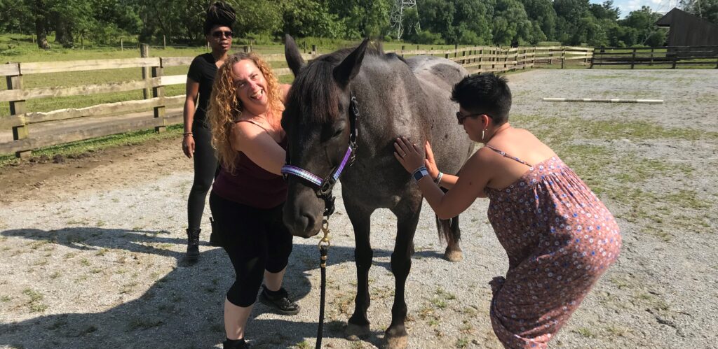animal reiki training practice