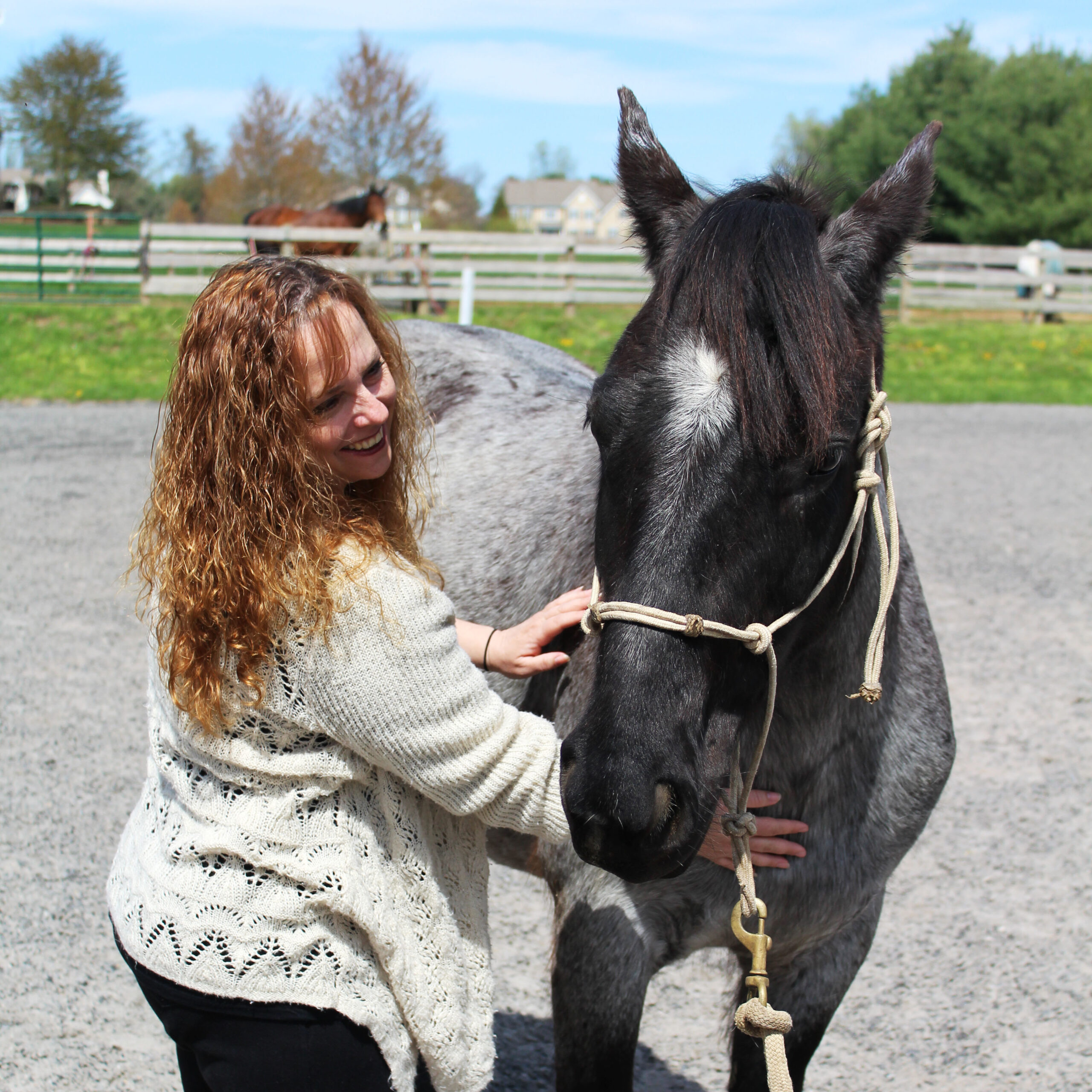 Animal Reiki Session with Horse